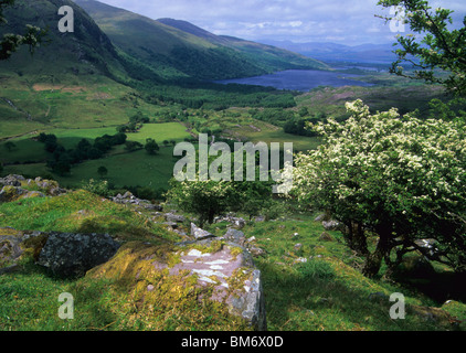 Gleninchaquin Tal, auf der Beara-Halbinsel im County Kerry, Irland. Stockfoto