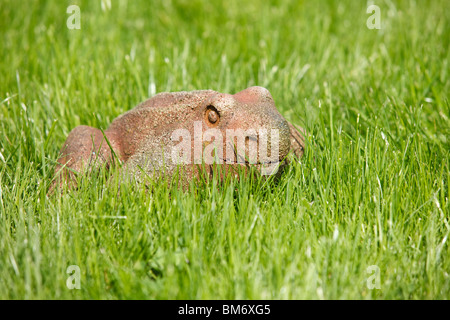 Garten Frosch Statue in der Wiese Stockfoto