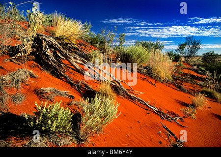 Einer bunten Sanddüne in der Pilbara-Region und Landschaft von Western Australia, in der Nähe der Stadt von Tom Price Stockfoto