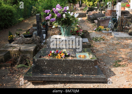 Grab des ursprünglichen Hunde Filmstar Rin Tin Tin Cimetière des Chiens d'Asnières-Sur-Seine Frankreich Stockfoto