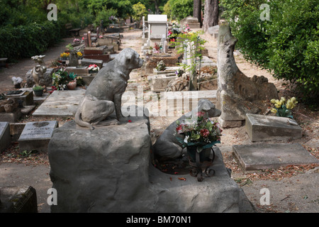 Cimetière des Chiens d'Asnières-Sur-Seine Frankreich Stockfoto