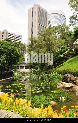 Künstlicher See, gelben Blüten und Lotusblüten, mit Blick auf die Conrad und Marriott Türme, Hong Kong Park, Hong Kong Stockfoto