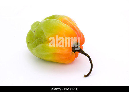 Orange und grün scotch Bonnet Chilipfeffer über weiß Stockfoto