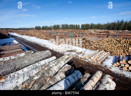 Blick auf das Bahnbetriebswerk/Holzhof, wo Holzstämme gelagert und in Güterzüge, Finnland, verladen werden Stockfoto