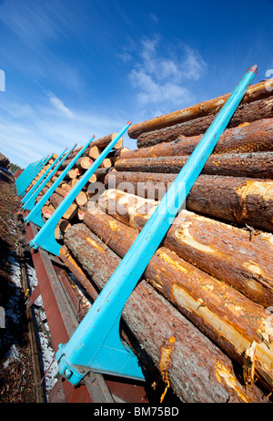 Güterzug, beladen mit Kiefer (Pinus Sylvestris) Protokolle, Finnland Stockfoto