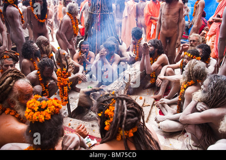 Naga sadus während der haridwar Kumbh mela 2010. Indien Stockfoto