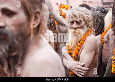 Naga sadus während der haridwar Kumbh mela 2010. Indien Stockfoto