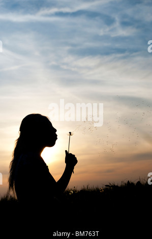 Silhouette eines jungen Mädchens weht Löwenzahn Saatgut Kopf bei Sonnenuntergang. Stockfoto