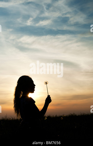 Silhouette eines jungen Mädchens hielt Löwenzahn Samen Kopf bei Sonnenuntergang. Stockfoto