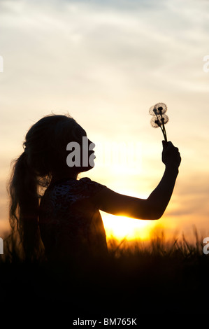 Silhouette eines jungen Mädchens hielt Löwenzahn Samen Kopf bei Sonnenuntergang. Stockfoto