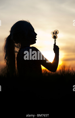 Silhouette eines jungen Mädchens hielt Löwenzahn Samen Kopf bei Sonnenuntergang. Stockfoto