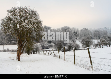 Winter Schneefall in Tinker Woods, Downley, High Wycombe, Buckinghamshire, Großbritannien Stockfoto