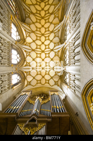 Das reich verzierte Dach und Orgelpfeifen In der Quire Wells Cathedral Somerset England Stockfoto