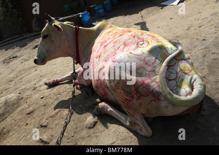 Eine bemalte Kuh in die heilige Pilgerfahrt Stadt von Varanasi, Benares oder Banaras, Uttar Pradesh, Indien. Stockfoto