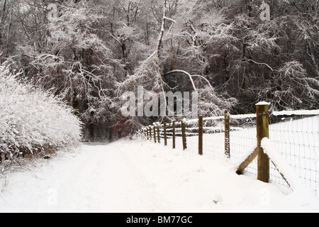 Winter Schneefall in Tinker Woods, Downley, High Wycombe, Buckinghamshire, Großbritannien Stockfoto