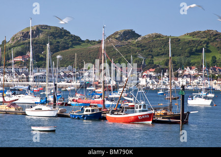 Deganwy Quays Marina an der Mündung der Conwy in Nordwales Westküste Stockfoto