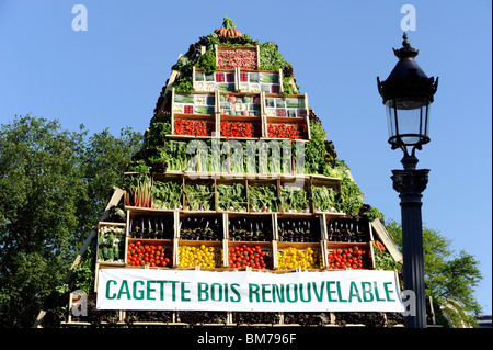 Zeigen Sie Natur Capitale, Champs-Elysées, Paris, Frankreich Stockfoto