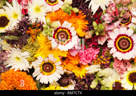 Gemischte Blumen Stockfoto