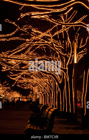 Bäume geschmückt mit Lichtern, Unter Den Linden, Berlin, Deutschland Stockfoto