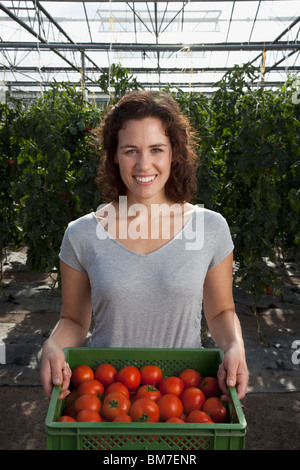 Eine Frau mit einer Kiste von frischen Tomaten im Gewächshaus Stockfoto