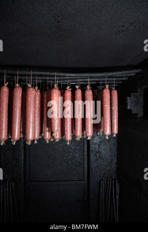 Wacholder Salami, eine regionale Spezialität aus Kärnten, Österreich in einer Räucherkammer hängen Stockfoto