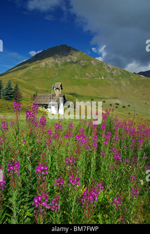 Gebirgspass Col du Lautaret (05) Stockfoto