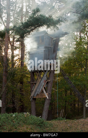 Ein Jagd-Turm in einem Wald Stockfoto