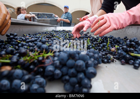 Genossenschaftlichen Keller in Burgund Stockfoto