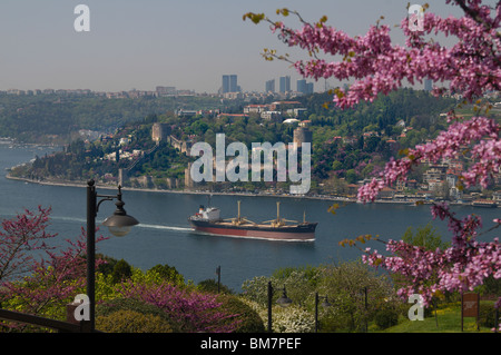 Rumeli Hisari, thrakischen Burg, 1452 Festung, Judasbaum, mit Blick auf Bosporus, Istanbul Stockfoto