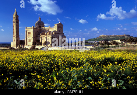 Malta, Ta Pinu Basilika, eine romanische Kirche inmitten der freien Natur an einem angeblichen wunderbaren Ort im westlichen Gozo. Stockfoto