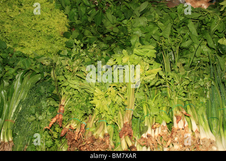 Grüne frische Kräuter auf einem Markt in Bangkok, Thailand. Stockfoto