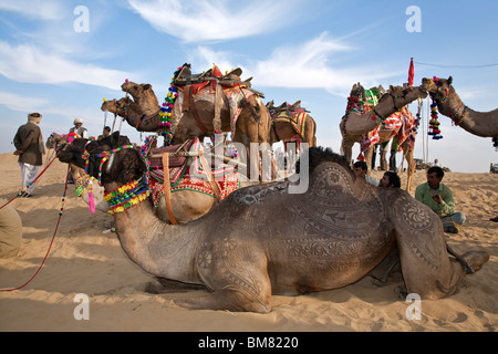 Kamelhaut Dekoration. Sam Sanddünen. In der Nähe von Jaisalmer. Rajasthan. Indien Stockfoto