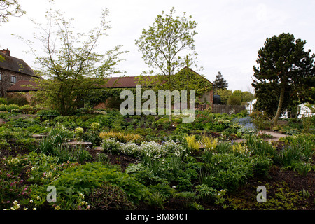 RHS HYDE HALL. DIE ROBINSON-GARTEN IM FRÜHLING. ESSEX UK. Stockfoto