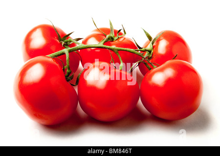 Tomaten auf der Rebe Produkt erschossen. Stockfoto