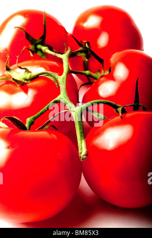 Tomaten auf der Rebe Produkt erschossen. Stockfoto