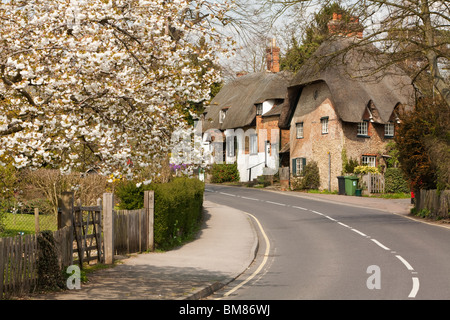 Spring Blossom und traditionellen strohgedeckten Hütten in Thameside Dorf von Clifton Hampden in Oxfordshire, Vereinigtes Königreich Stockfoto