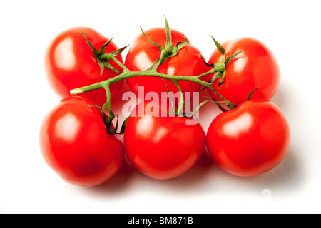 Tomaten auf der Rebe Produkt erschossen. Stockfoto