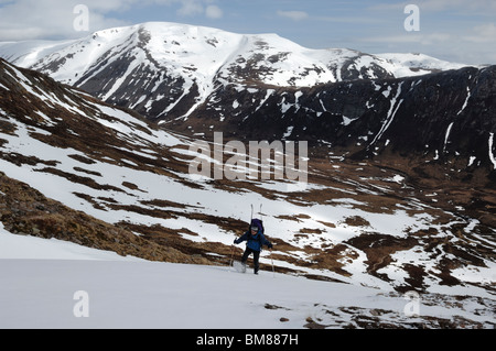 Ein Mann mit einem schweren Rucksack und Ski in den Cairngorms Schottland mit Ben Macdui und Lairig Ghru im Hintergrund Stockfoto