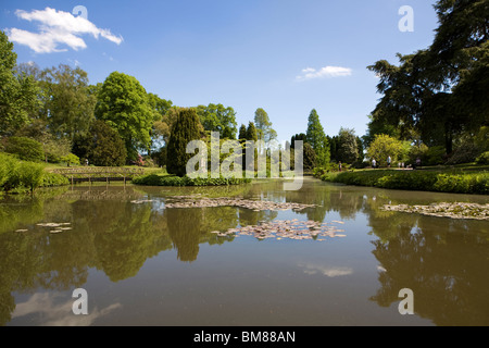 Tempel Wasser Garten Teich und See an cholmondeley Castle, Malpas, Cheshire Vereinigtes Königreich Stockfoto