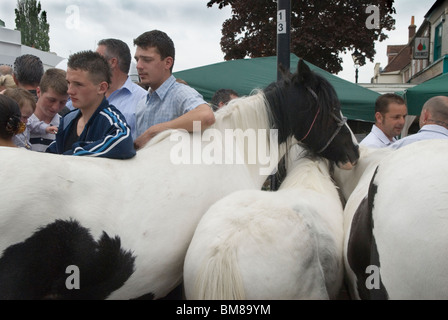 Piebald-Cob-Pferde. Wickham Hampshire jährliche Gipsy Royal Charter Fair, die 1269 von König Heinrich III. Gewährt wurde. Junge Pferdehändler unterhalten sich mit Freunden beim jährlichen Zigeunertreffen in Großbritannien. 2010er Jahre 2010 HOMER SYKES Stockfoto