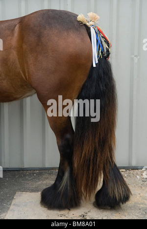 Pferdeschwanz mit geflochtenem Stroh und Band, traditionelle Zigeuner-Dekoration. Gypsy Annual Horse Fair, wird gezeigt und steht zum Verkauf. Wickham Hampshire 2010 2010s UK. HOMER SYKES Stockfoto