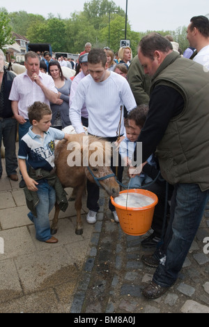 Royal Charter Fair UK 2010s. Pony trinkt traditionell aus einem Eimer Bier als Eröffnungszeremonie der jährlichen Pferdemesse der Zigeuner. Wickham Hampshire England 2010 2010er Jahre Heinrich III. 1269 gewährte die jährliche Königliche Charter-Messe „für immer“ SYKES Stockfoto