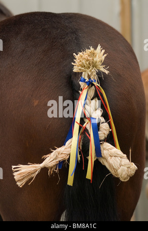 Pferdeschwanz mit Strohband und traditionellem Zigeuner-Dekor. Gypsy Annual Horse Fair. Das Pferd steht zum Verkauf, es wird gezeigt. Wickham Hampshire 2010 2010s UK. HOMER SYKES Stockfoto