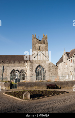 Schwarzen Abtei in Kilkenny, Irland Stockfoto