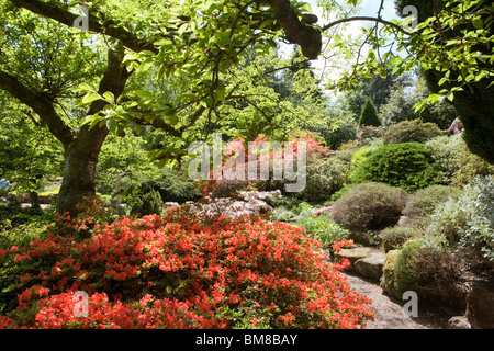 Tempel Gärten Cholmondeley Wasserburg, Malpas, Cheshire Uk Stockfoto