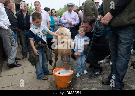 Charter Fair UK 2010s. Pony trinkt traditionell aus einem Eimer Bier als Eröffnungszeremonie der jährlichen Pferdemesse der Zigeuner. Wickham Hampshire England 2010. Heinrich III. 1269 gewährte die jährliche Königliche Charter-Messe „für immer“ HOMER SYKES Stockfoto