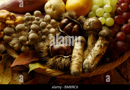 Verschiedene Arten von Herbst Lebensmittel Stockfoto