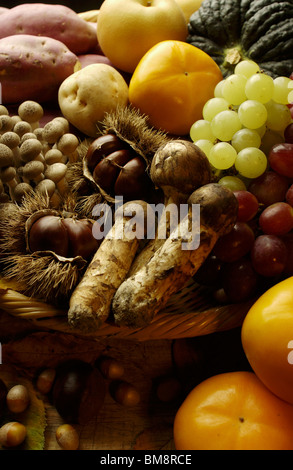 Verschiedene Arten von Herbst Nahrungsmittel im Warenkorb Stockfoto