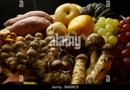 Verschiedene Arten von Herbst Nahrungsmittel im Warenkorb Stockfoto