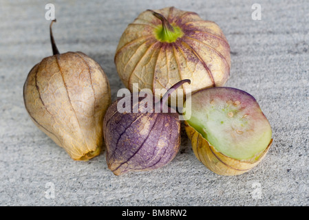 Tomatillos Stockfoto